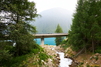 Filename=Zwei_Orangen_in_Suedtirol_2024_009.jpg
Filesize=1432KiB
Dimensions=1200x800
Date added=Aug 05, 2024 Zwei_Orangen_in_Suedtirol_2024_009.jpg