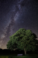 Filename=2020_07_28_5D4_6639-64.jpg
Filesize=711KiB
Dimensions=587x880
Date added=Oct 19, 2023 2020_07_28_5D4_6639-64.jpg