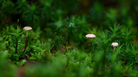 Filename=2024_10_03_R5__6600-16-C2CS7.jpg
Filesize=675KiB
Dimensions=1200x675
Date added=Oct 04, 2024 2024_10_03_R5__6600-16-C2CS7.jpg